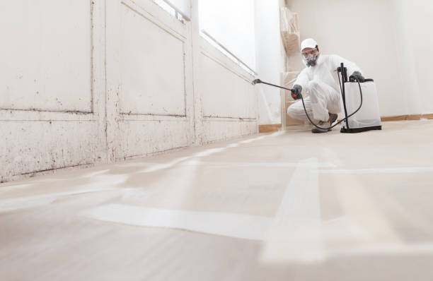24/7 Emergency Commercial Mold Remediation experts in Angier, NC