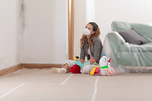 Reliable Commercial Mold Remediation contractor in Angier, NC by Car Mold Remediation