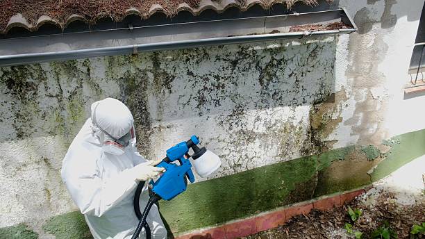 Top rated local Commercial Mold Remediation specialists in Angier, NC